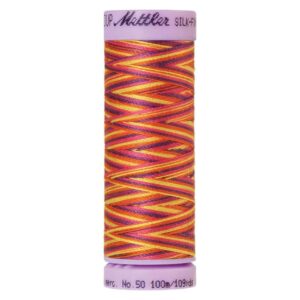 Amann Silk-finish cotton multi nr.50 100m - 9841