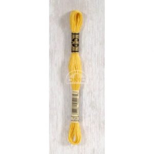 DMC Mouliné splijtzijde 8m 725