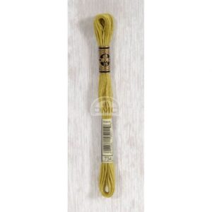 DMC Mouliné splijtzijde 8m 734