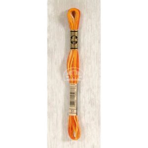 DMC Mouliné splijtzijde 8m 51